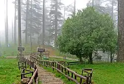 Dhanaulti Eco park