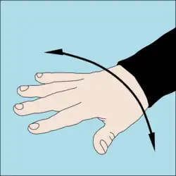 Something is wrong: An open hand with palm down and fingers apart is rocked back and forth on the axis of the forearm.[7]