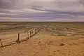 The fence near Coober Pedy, South Australia