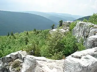 Dolly Sods Wilderness in West Virginia, seen from atop Breathed Mountain