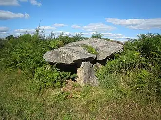 The dolmen of Verneuil-sur-Vienne