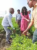 Dr. Naryan Lambat (in white) explaining during a chilli farm tour