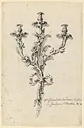 18th-century French drawing of a girandole