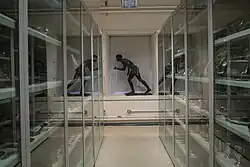 Out of Storage permanent exhibition