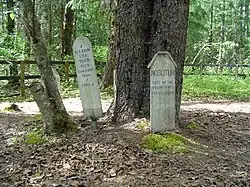 One of three graveyards at Dyea, this one composed almost entirely of victims of a single Avalanche in 1898