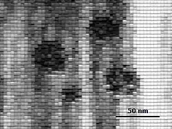 Low-resolution image of a marnavirus under electron microscope