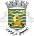 Coat of arms of City of Espinho