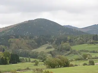 Eichelnkopf (von Südwesten), right in the background der Große Knollen with Observation Tower