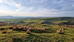 Ell Clough Saucer barrow