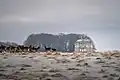 The Hermitage Lodge seen from the southwest with a group of deer in the foreground