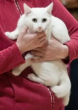 White called being held