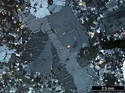 Figure 1. Photomicrograph of perthitic texture in alkali-feldspar (center) from the Strathbogie Granite, Australia. (Cross polarized light). Sample CV-114.