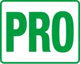 LM GTE Pro class plate as used in FIA World Endurance Championship, with green wordmark and side colour