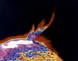False color image of a solar prominence (Skylab 3, August 21, 1973)[13]