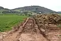 Farm track with a view of Little Doward From the Llangrove road