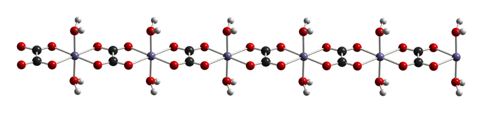Ball-and-stick model of a chain in the crystal structure of iron(II) oxalate dihydrate