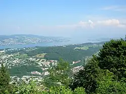 View from Felsenegg to the eastern part of Lake Zurich