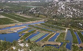 Plantations in the fertile Neretva valley