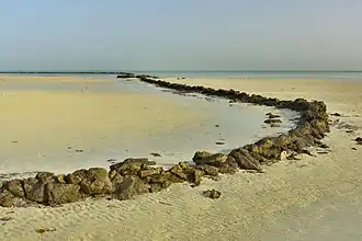 Intertidal stone fish traps at Al Arish