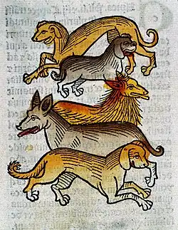 Image 13"Five different types of dogs", c. 1547. (from Dog breed)