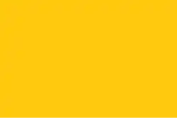 The Ayyubid yellow standard