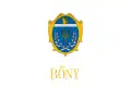Flag of Bőny