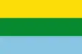 Flag of Calamar, Guaviare