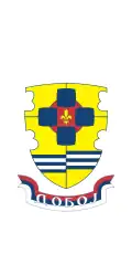 Flag of Doboj
