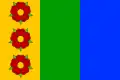 Flag of Dolní Morava