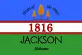 Flag of Jackson
