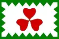 Flag of Kopřivná