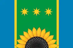 Flag of Shimanovsky District