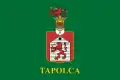 Flag of Tapolca