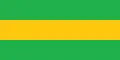 Flag of Timbiqui, Cauca