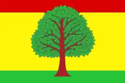 Flag of Vyaznikovsky District