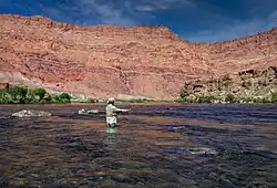 Man fly-fishing at Lees Ferry, Arizona