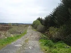 Forest track near Maulykeavane