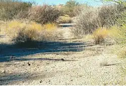 The Stoneman Trail a.k.a. Stoneman Wash Trail
