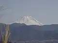 View of Mt. Fuji in Wakakusa