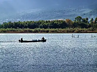 Fisherman on the Étang de Biguglia