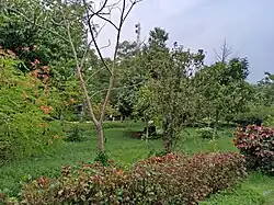 Kadri Park in Mangaluru - Garden near the Alley walkway