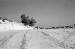 A flat landscape with a steep upward bank and the left-hand side