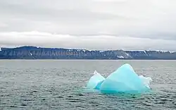 A bay in overcast weather with a lone small iceberg.