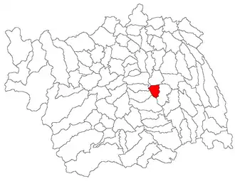 Location in Bacău County