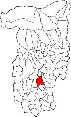 Location in Vâlcea County