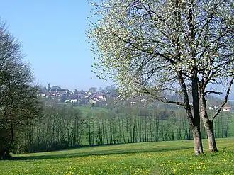 A general view of Godoncourt