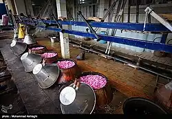 Containers of petals awaiting steeping, with one on the left closed and being heated to boil the water inside.
