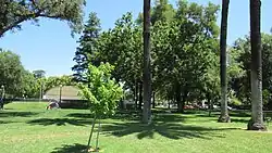 View north towards the Mancini Bowl