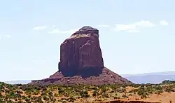 Gray Whiskers from the visitor center