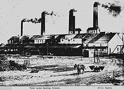 Left side of panoramic view of Great Cobar (1905).